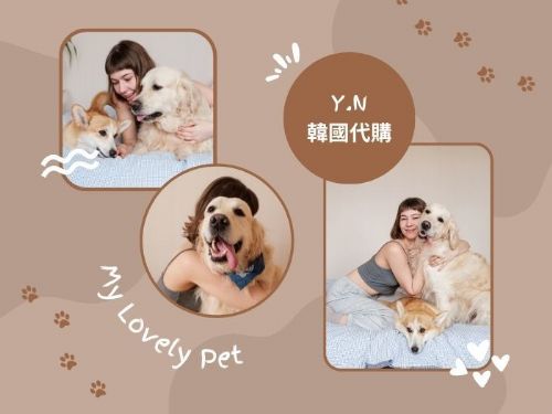 韓國寵物商品代購指南：帶著毛孩旅遊野餐必備的 5 種寵物用品